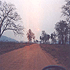 Fim de tarde no caminho de volta do rio Sucuri