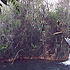 Saltando com carretilha no Aqurio Natural