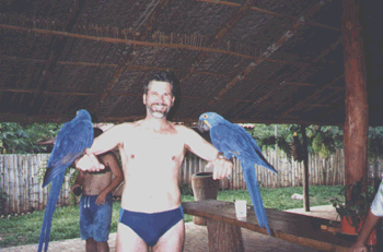 As rarssimas araras azuis em Bonito
